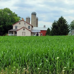 Private Countryside Back Roads Tour  - Tues, Thurs, Sat (2-23 People)